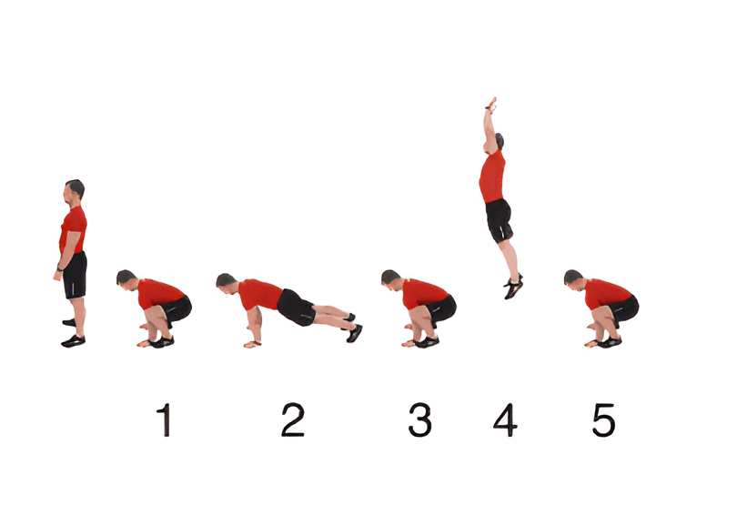 Burpee