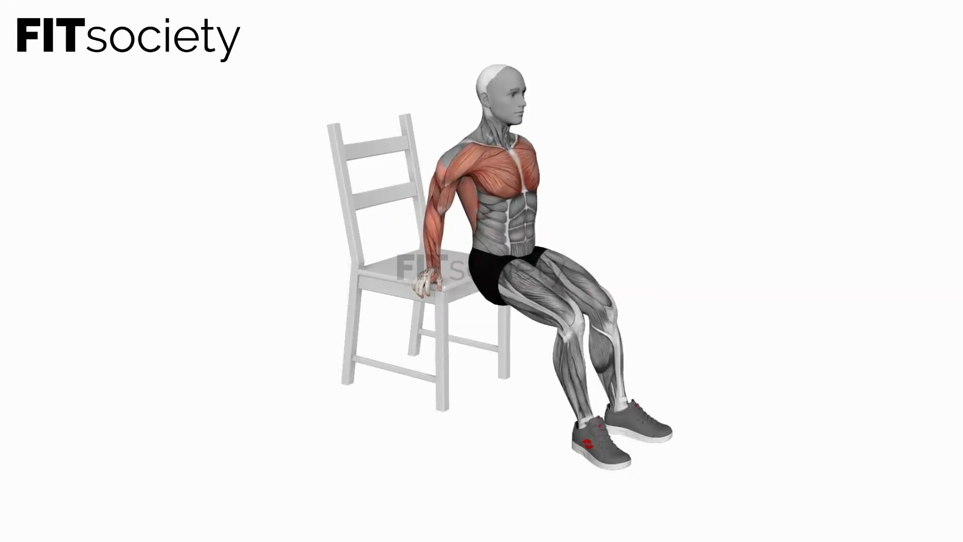 Dip On Floor With Chair