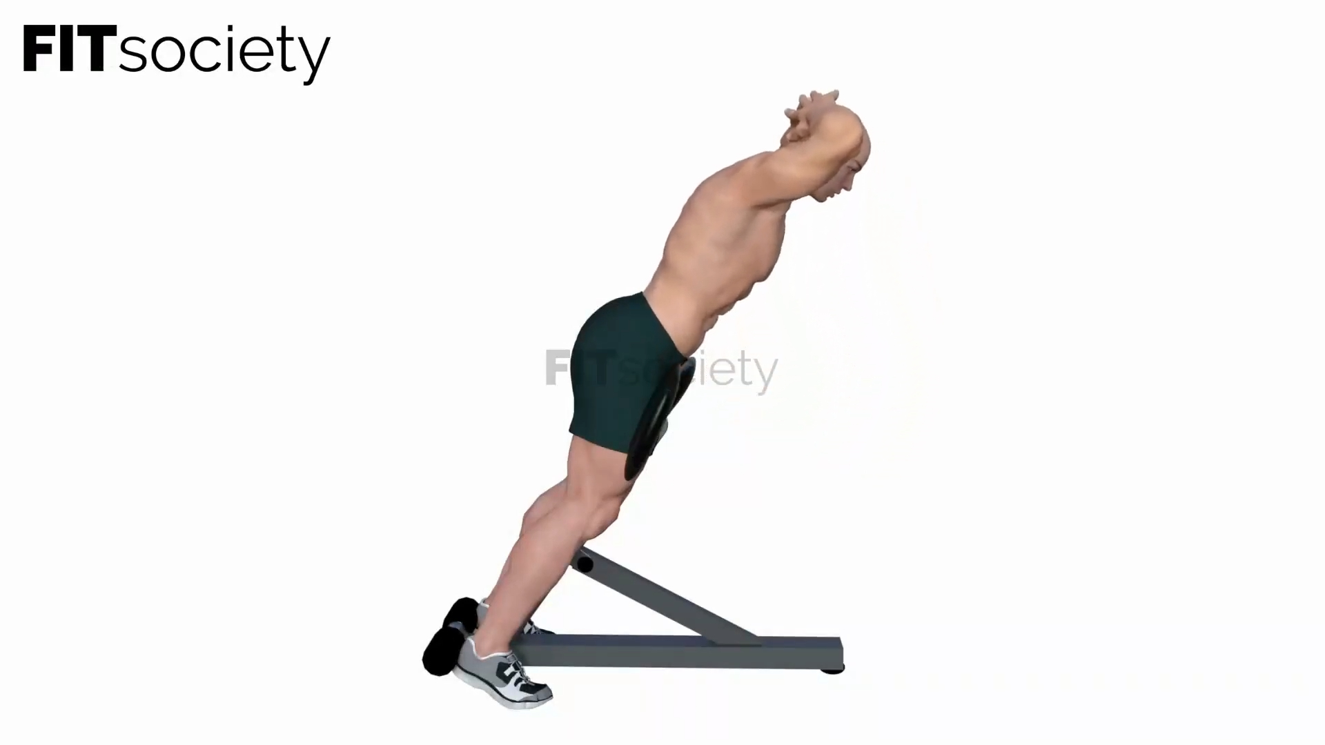 Back Hyperextension Bench