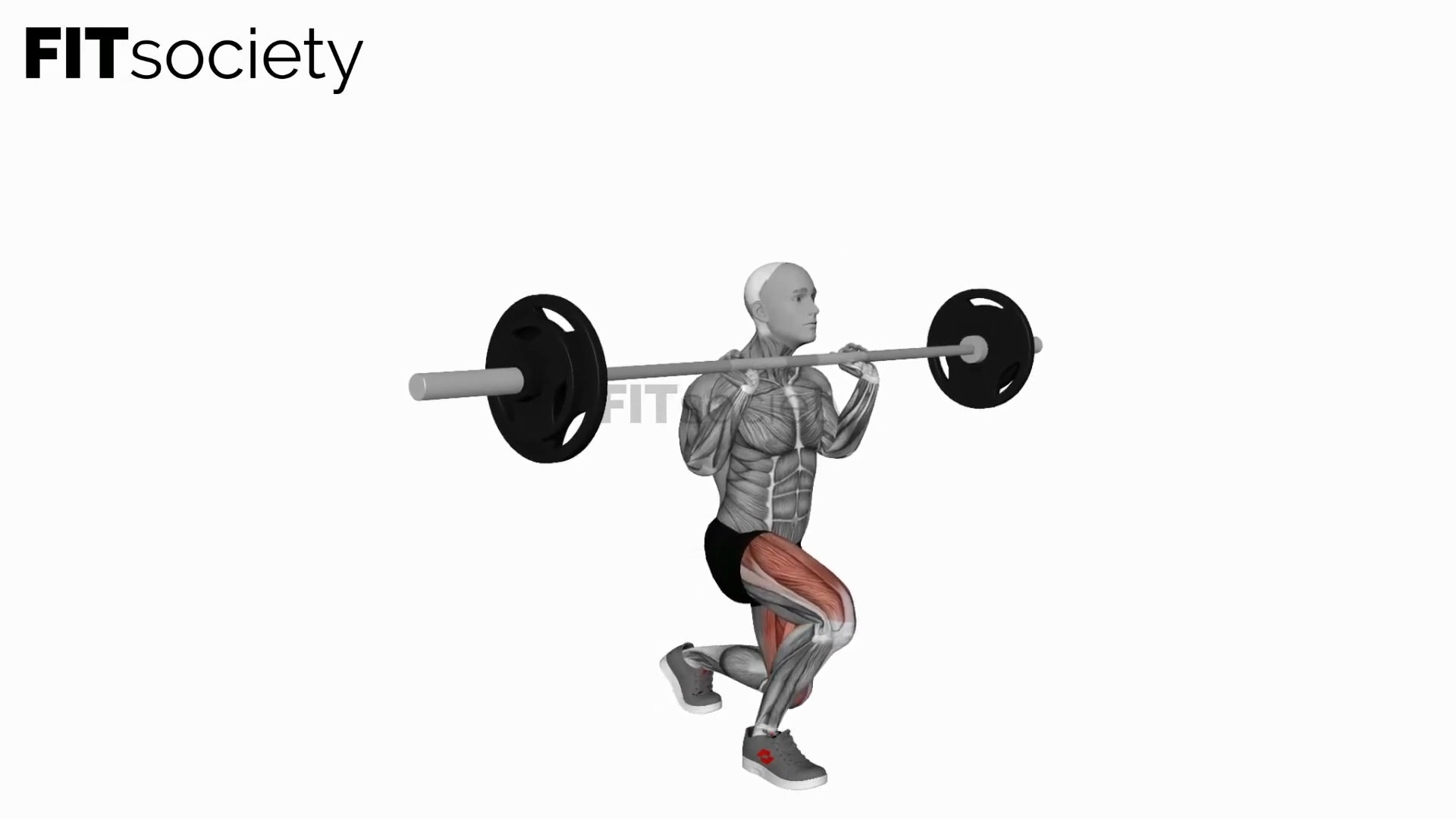 Barbell Front Chest Lunges