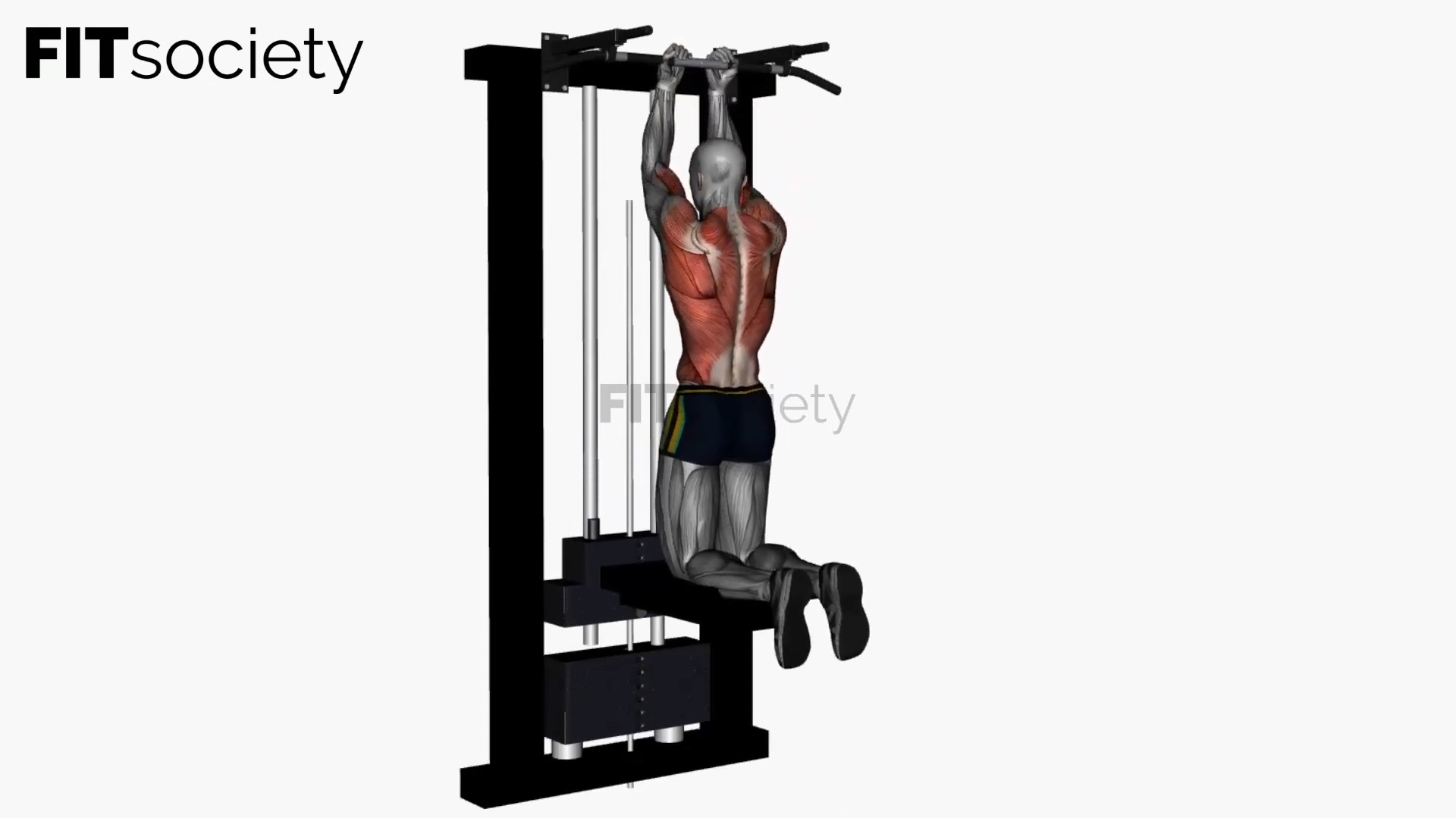 Assisted Chin-Up, Reverse Close Grip