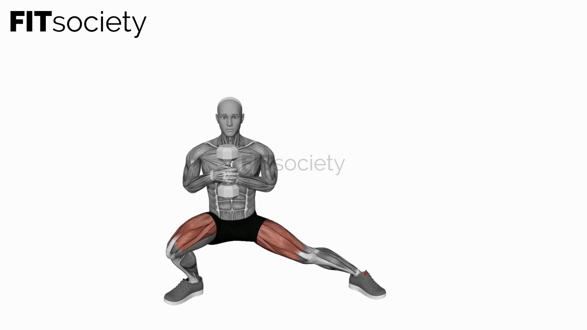 Dumbbell Side Squat Side To Side
