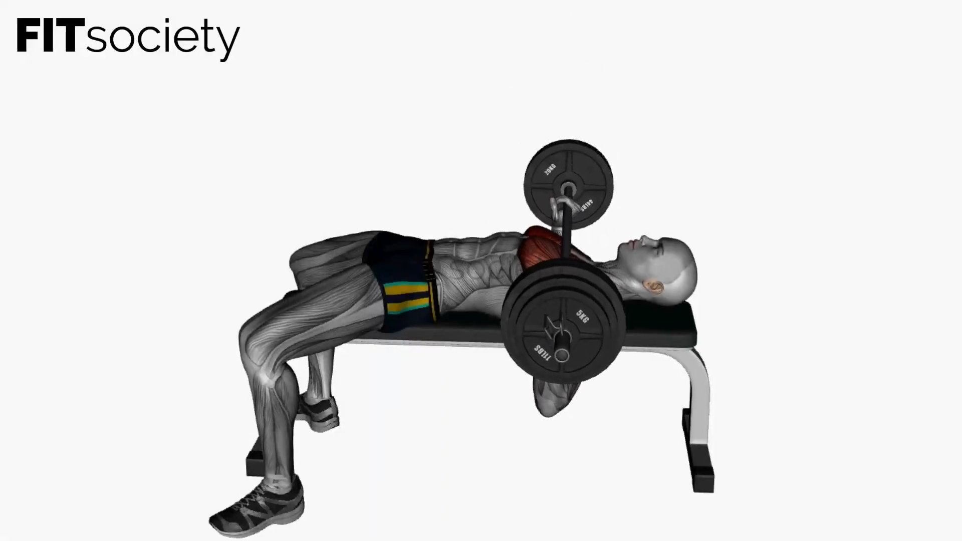 Développé couché à la barre