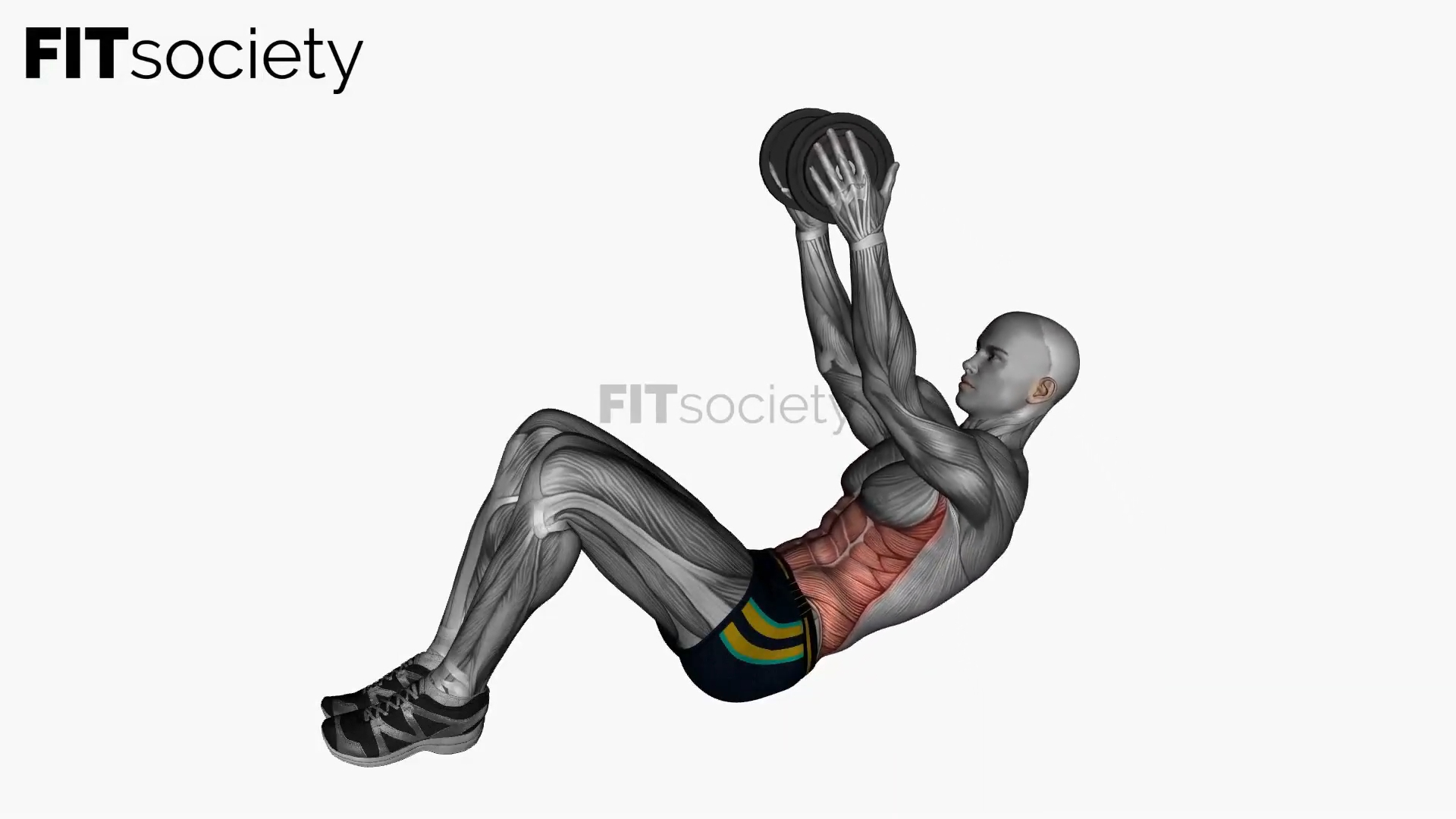 Dumbbell Ab Crunch