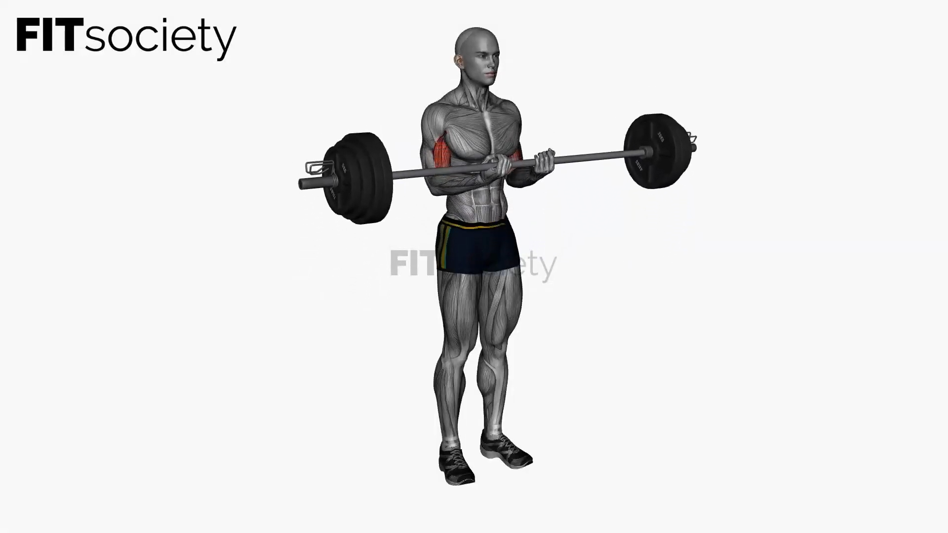 Close-Grip Barbell Biceps Curl