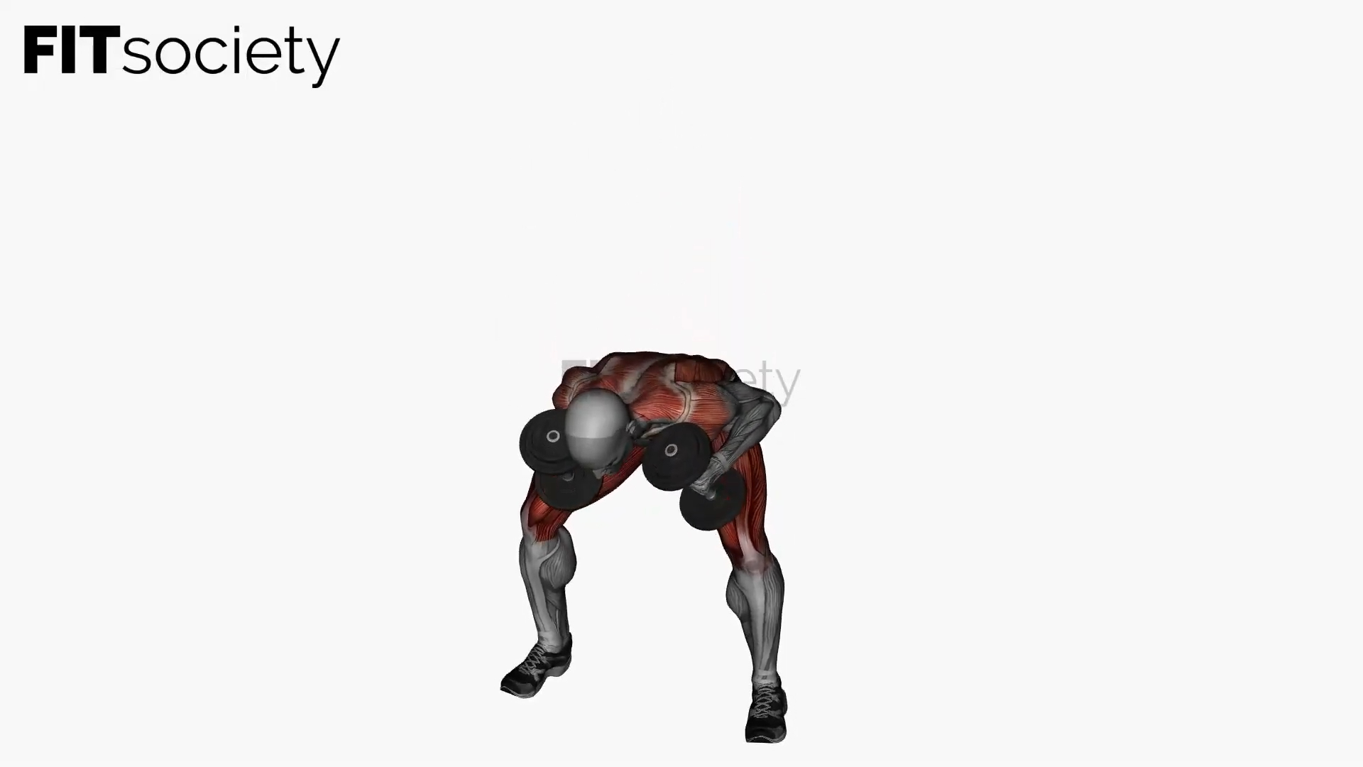 Good Mornings Dumbbells