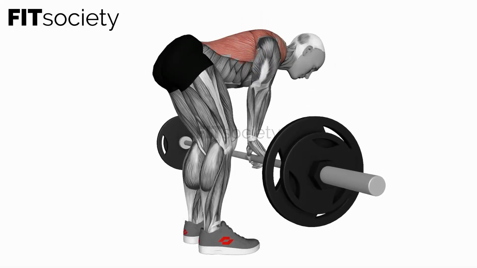 Bent Over Barbell Row