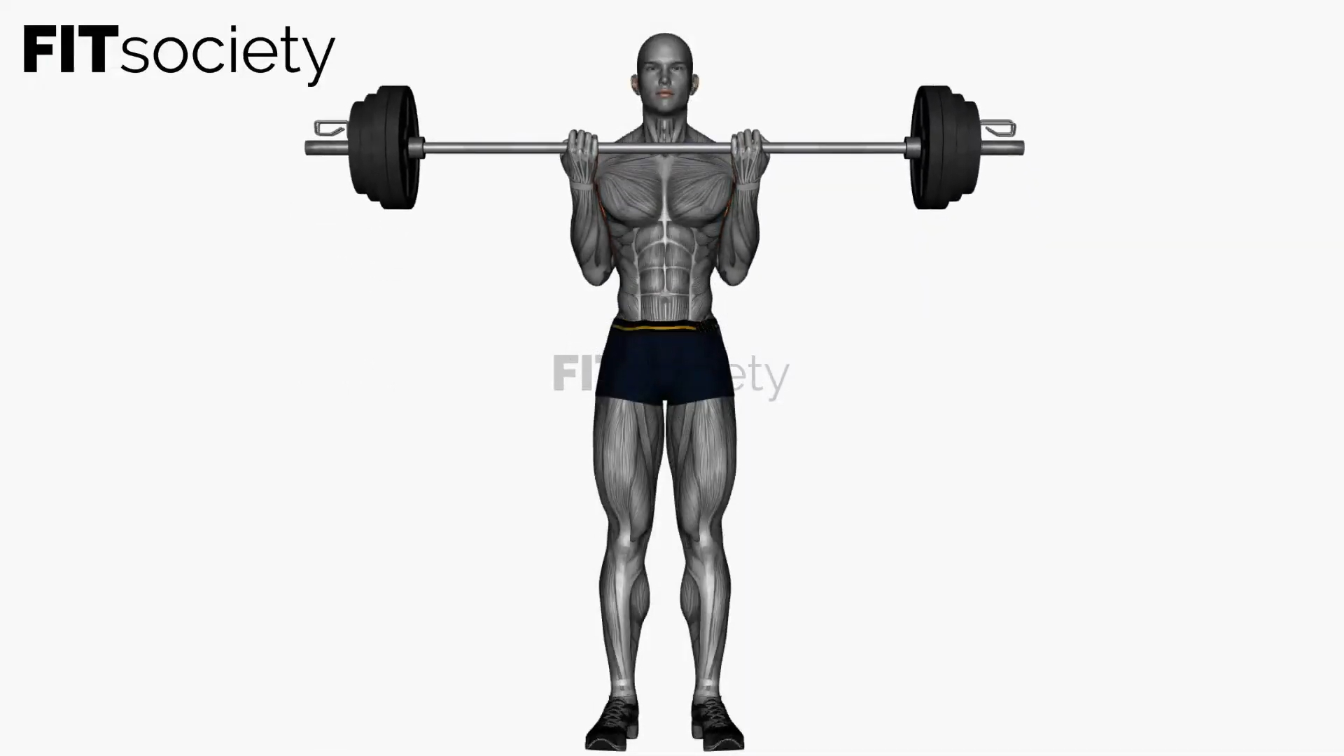 Barbell Bicep Curl Normal Grip