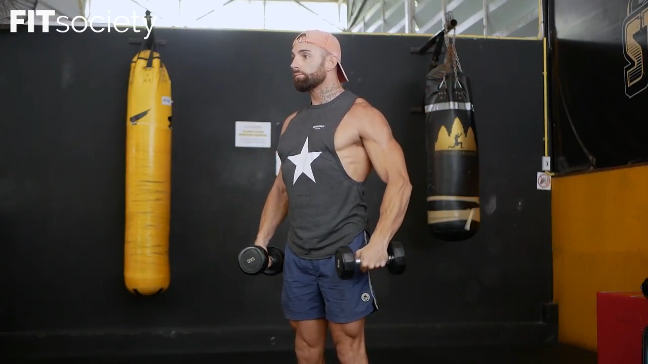 Standing Dumbbell Lateral Raise