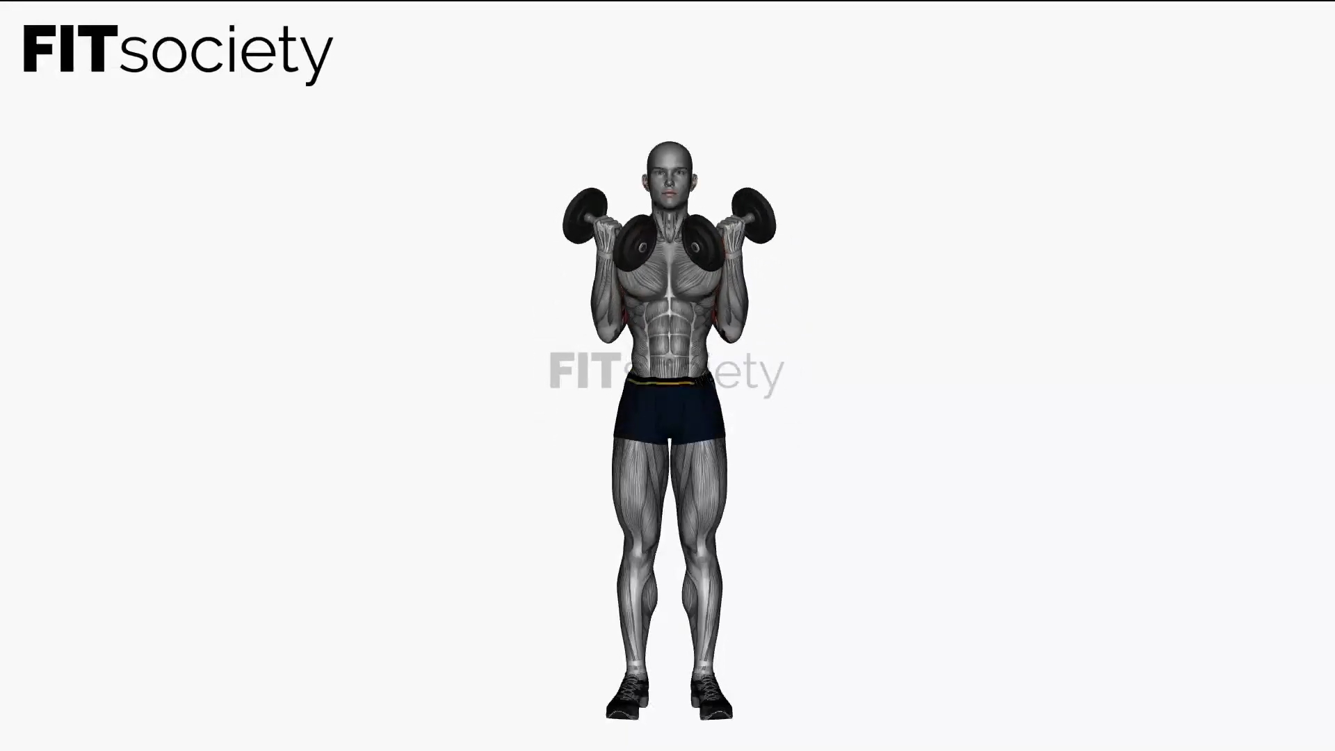 Dumbbell Bicep Curl to Shoulder Press