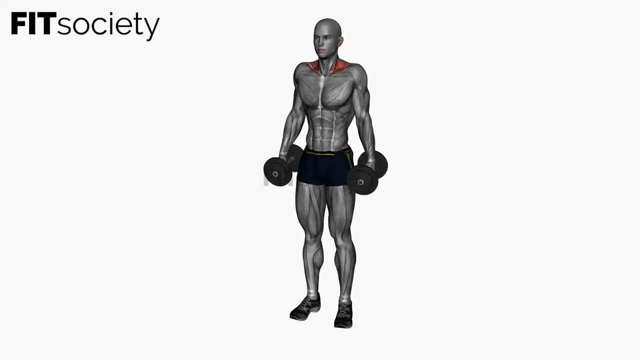 Dumbbell Shrugs
