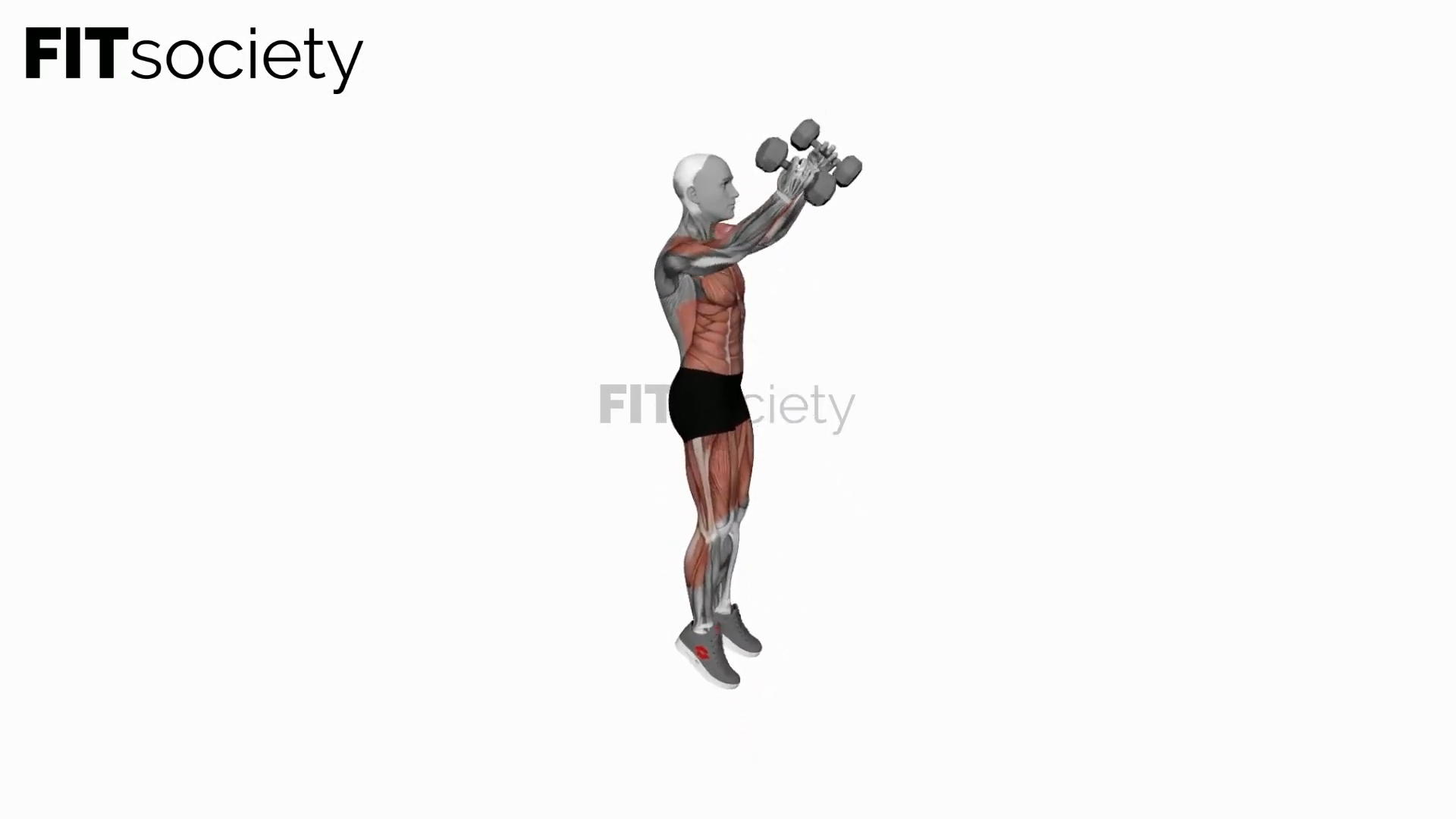 Dumbbell Burpee