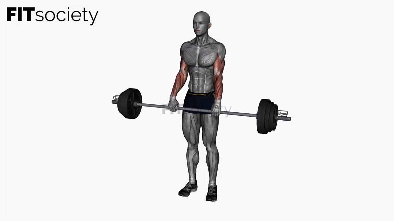 Reverse-Curls mit Langhantel