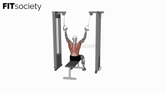 Cable Twin-Handle Neutral-Grip Lat Pulldown