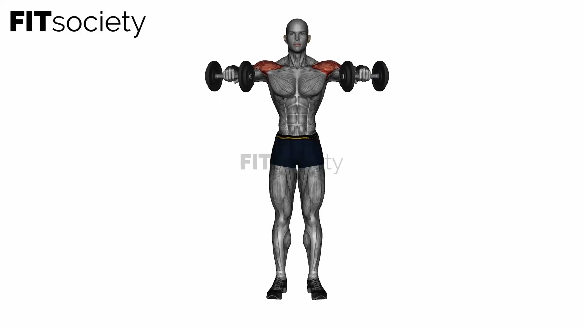 Dumbbell Bent Arm Lateral Raises