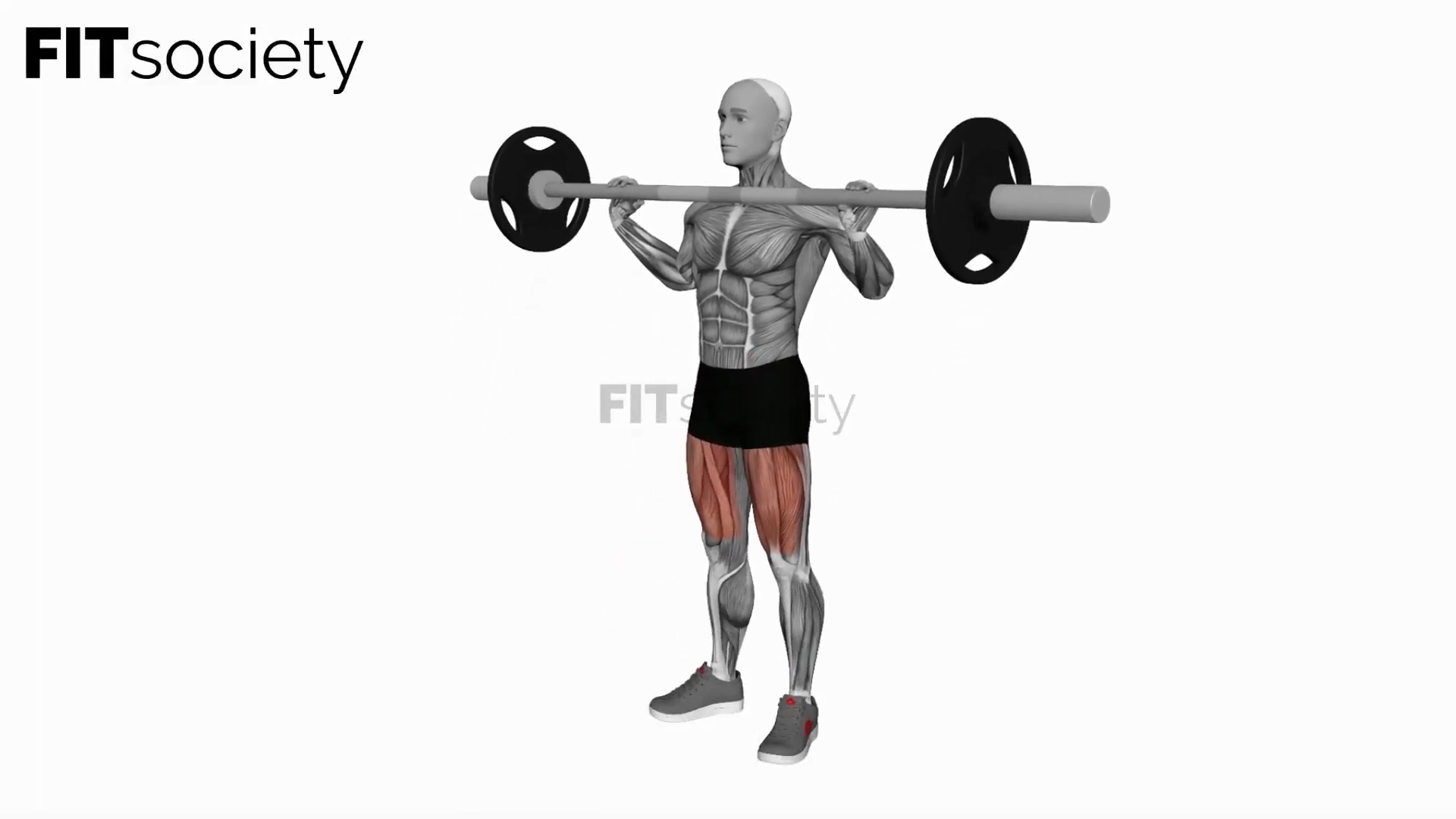 Squat avant avec barre sur la poitrine