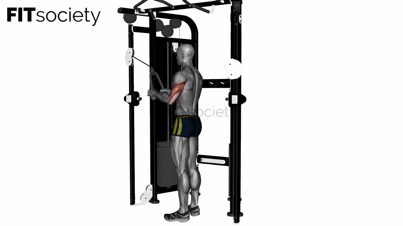 Extension des triceps à la corde à la machine crossover