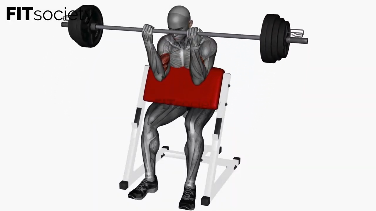 Preacher Curl Barbell