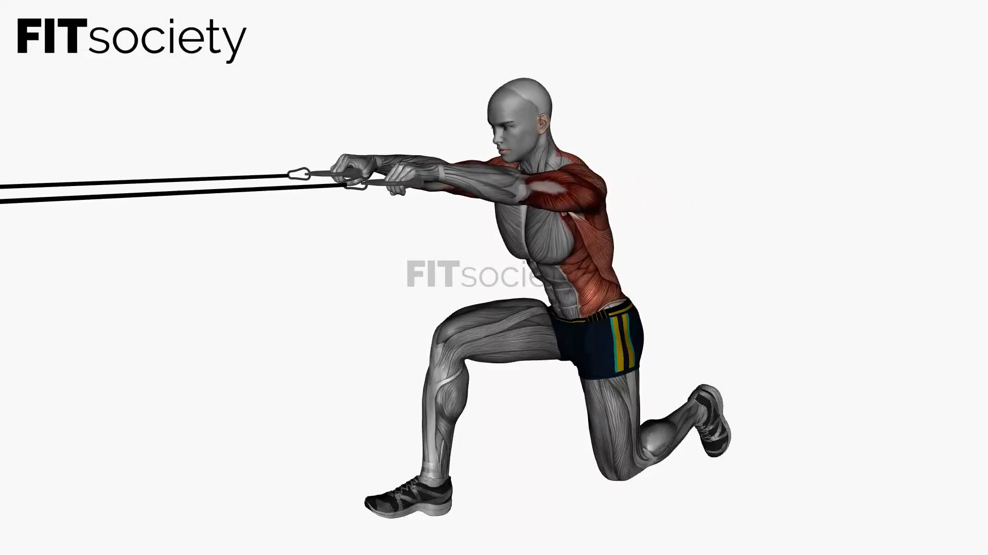 Resistance Band Cable Row