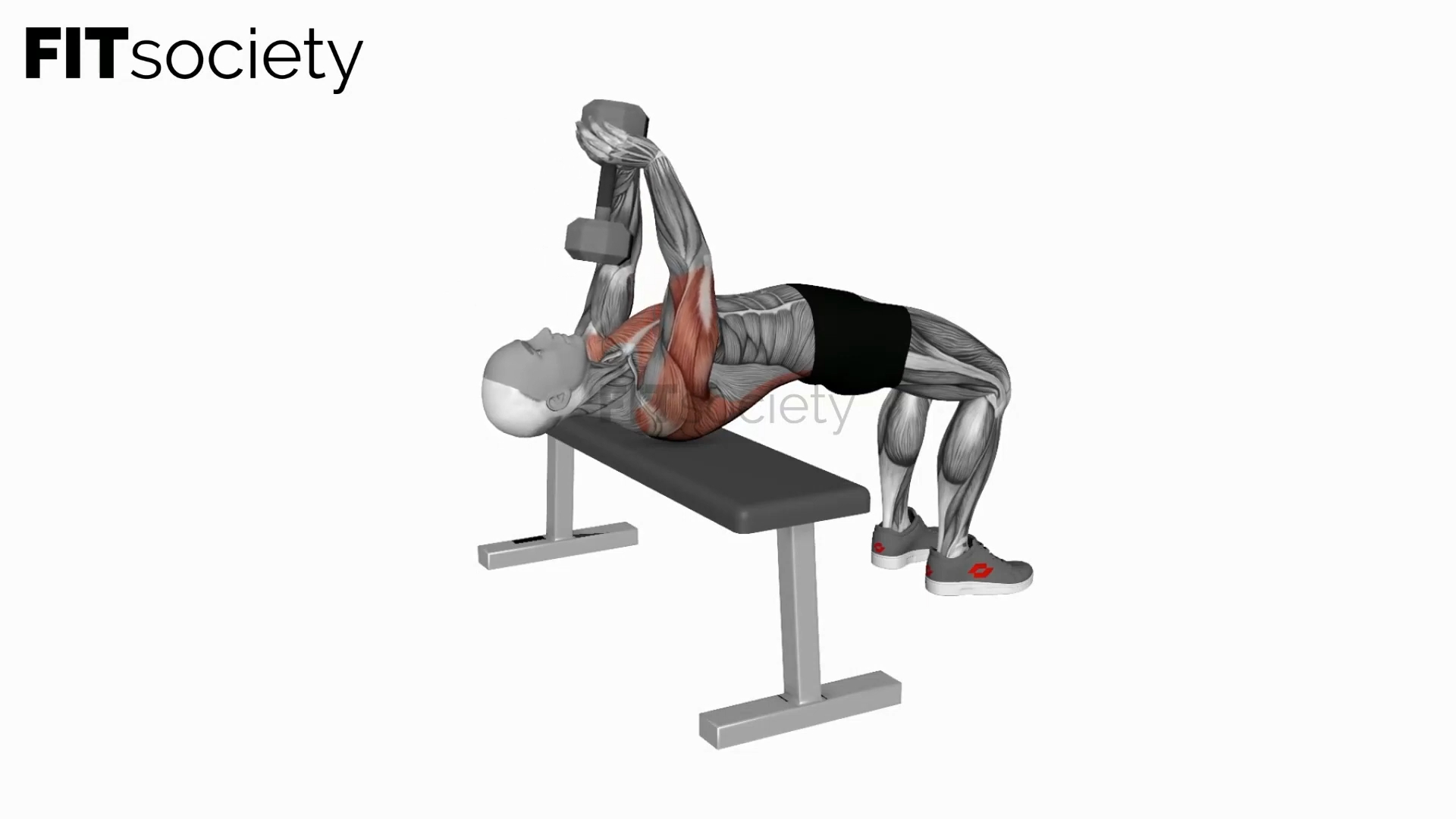 Dumbbell Straight Arm Pullover