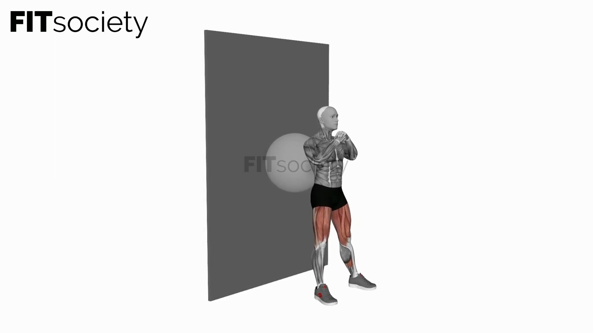 Squat au mur avec ballon de stabilité