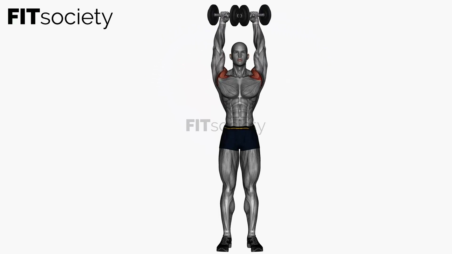 Dumbbell Around The World