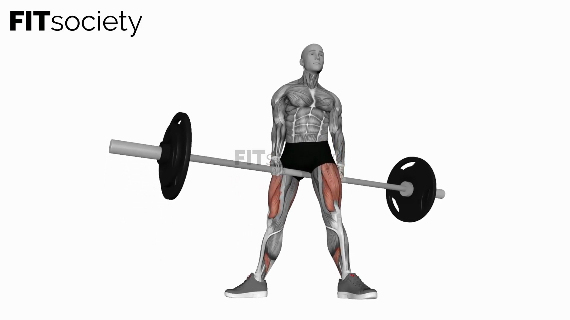 Barbell Jefferson Squat