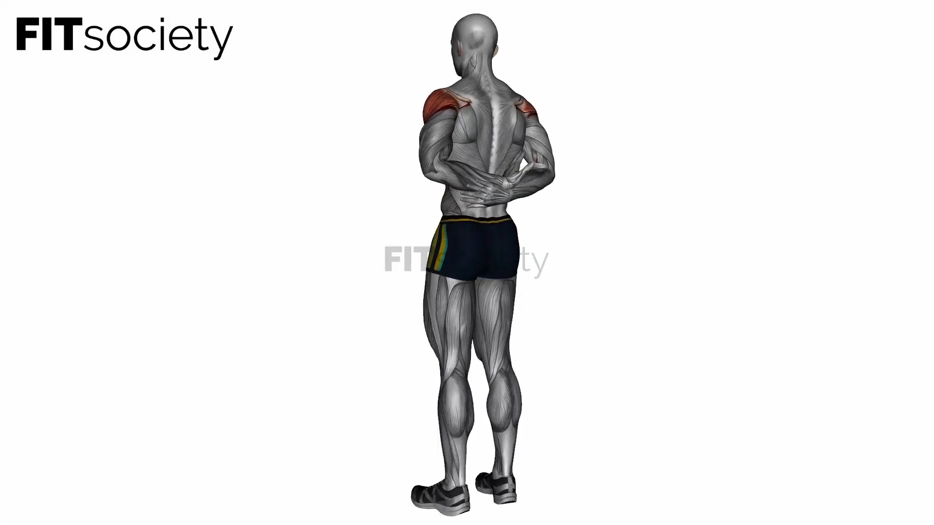Estiramiento del flexor del hombro con un brazo