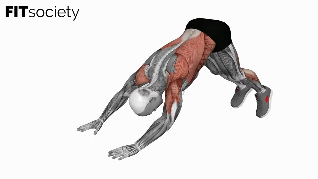 Modified Hindu Push-Up