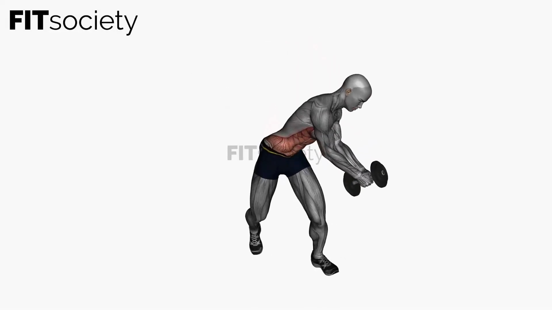 Dumbbell Diagonal Chop