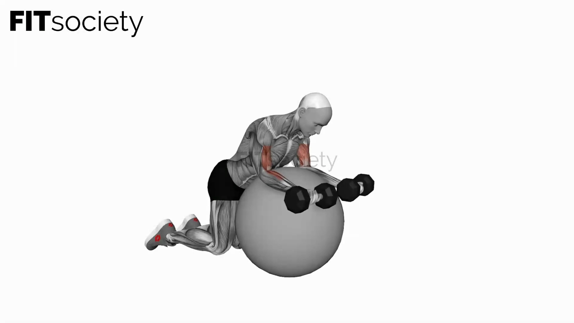Dumbbell Preacher Curl Over Exercise Ball