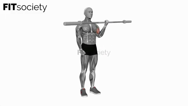 Barbell Single-Arm Biceps Curl