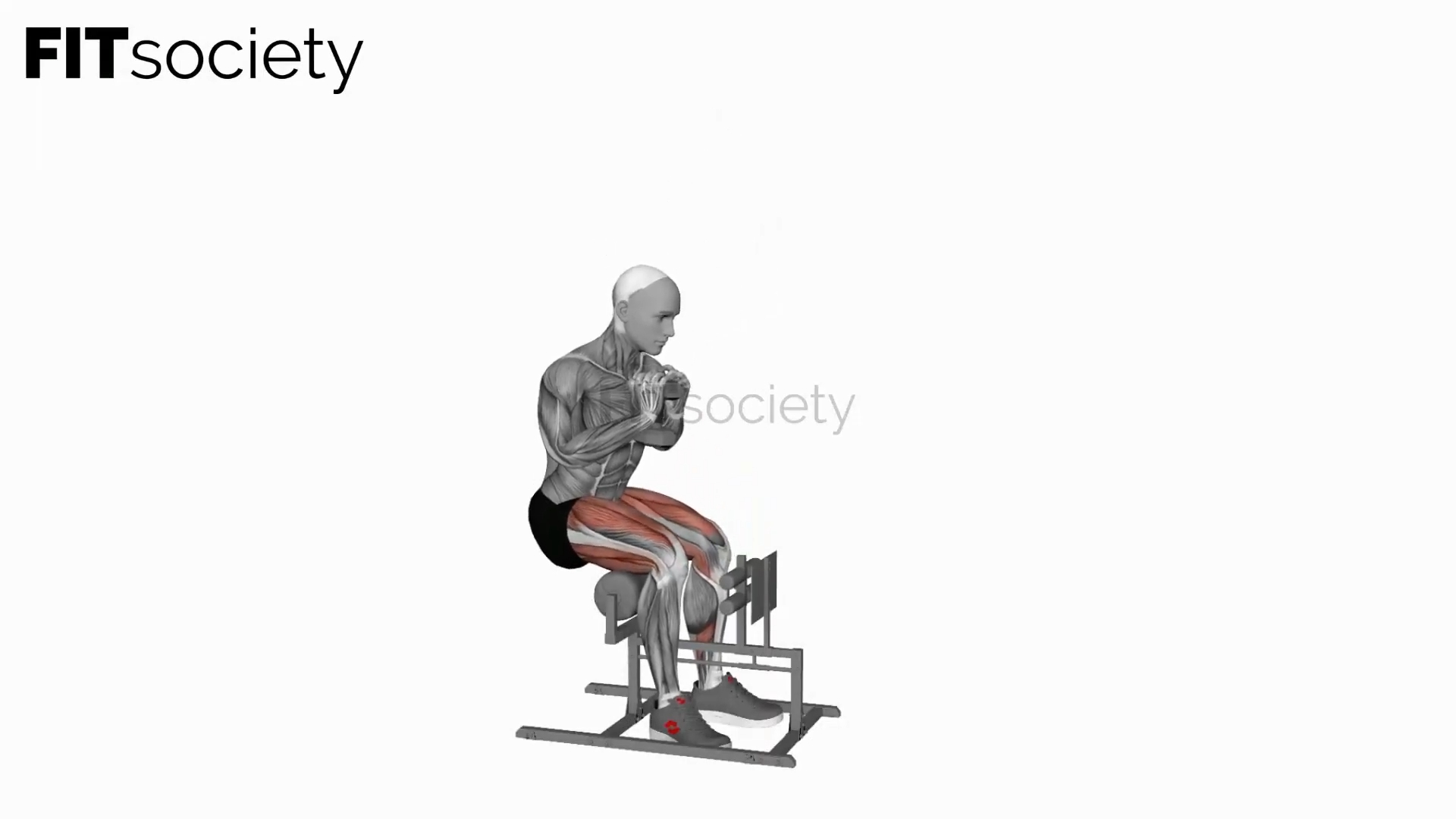 Dumbbell Supported Sissy Squat