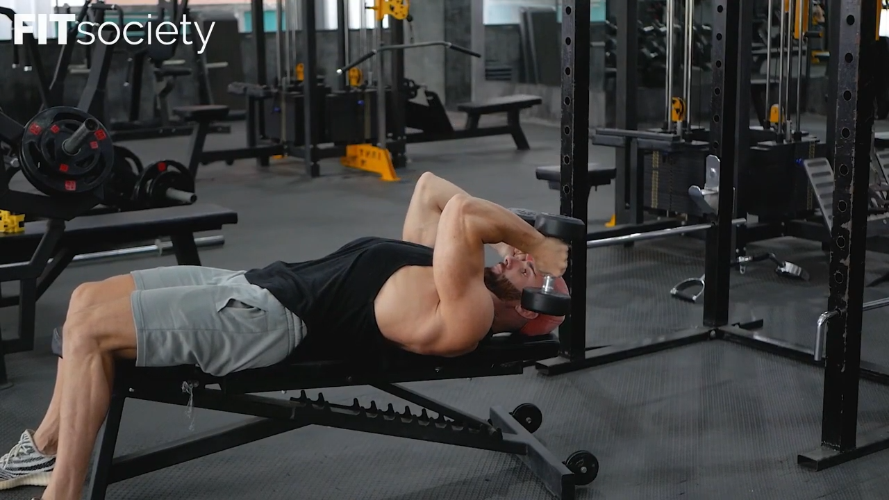 Dumbbell Skull Crushers
