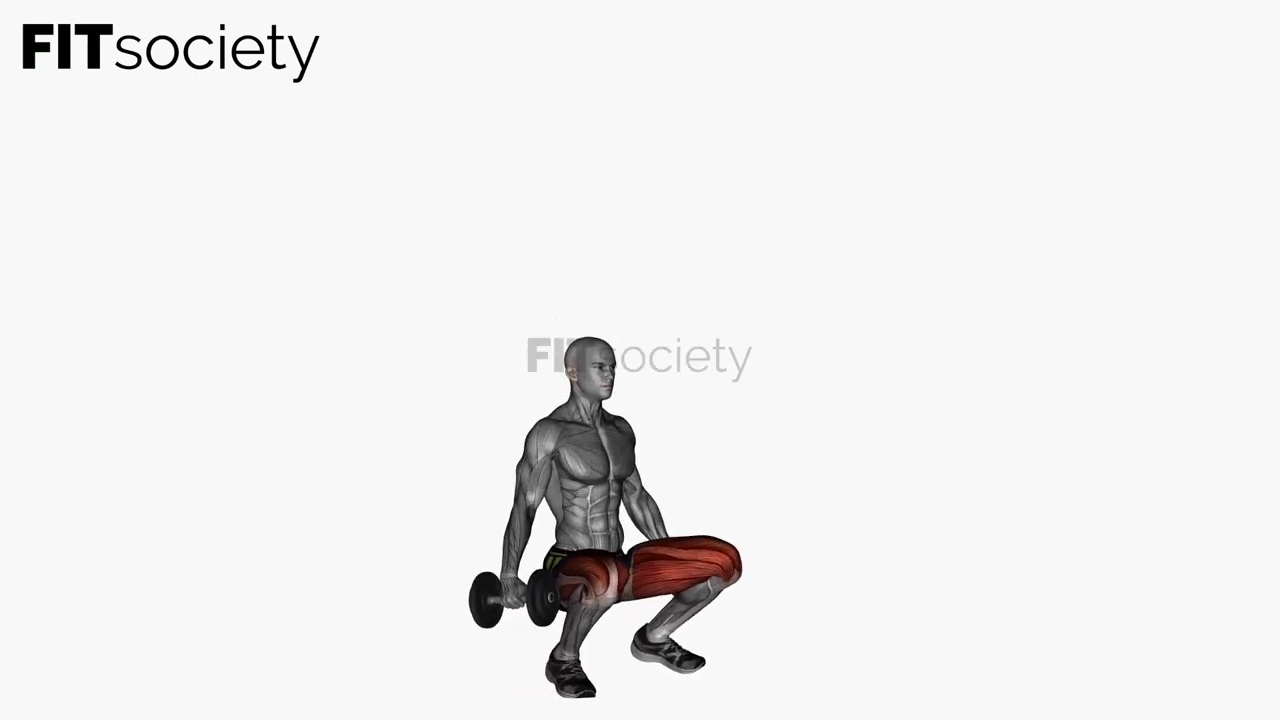 Dumbbell Low Front Squat