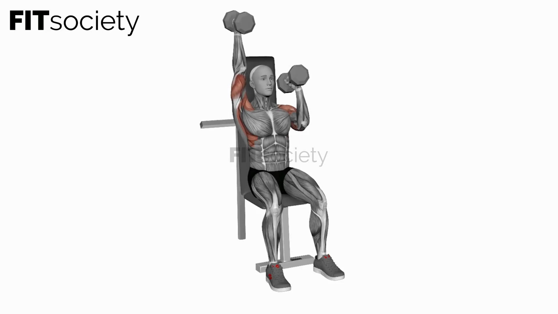 Seated Alternating Dumbbell Press