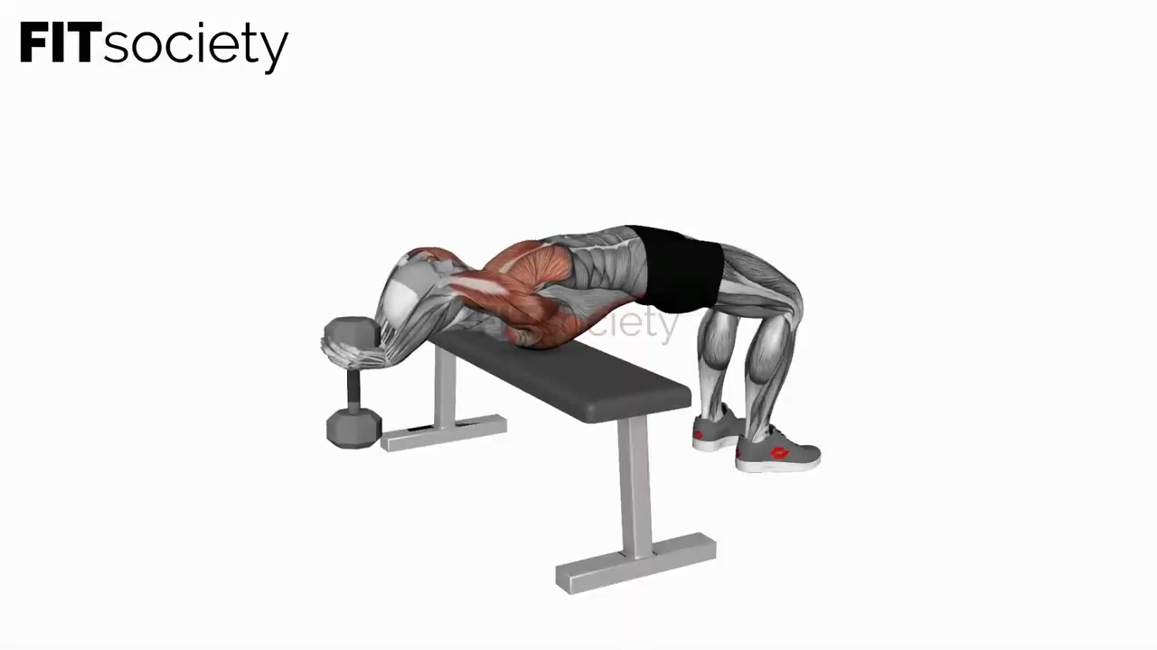 Dumbbell Straight Arm Pullover