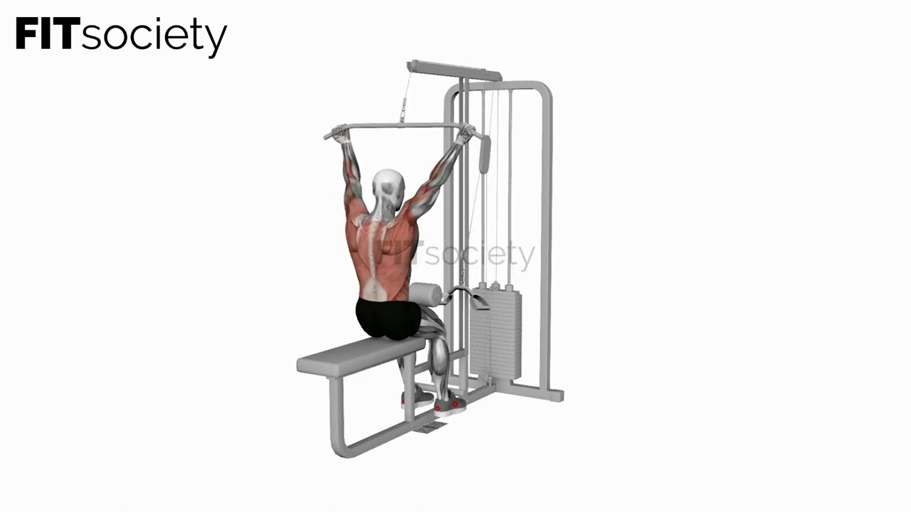 Cable Underhand Pulldown