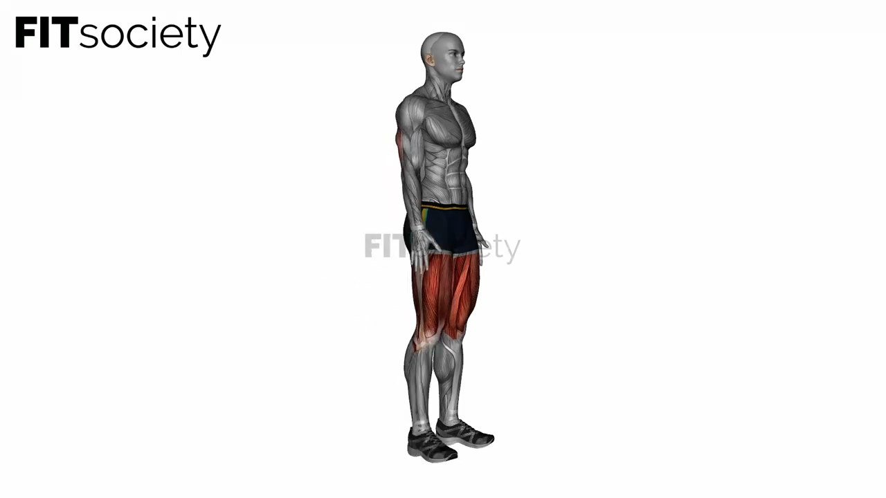 Standing Quadriceps Stretch Side Angle