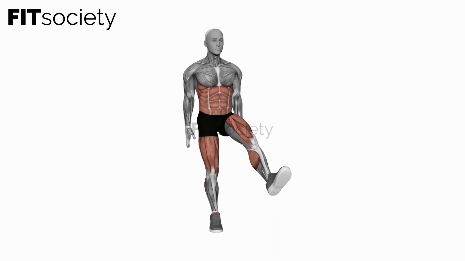 Bodyweight Squat To Side To Front Leg