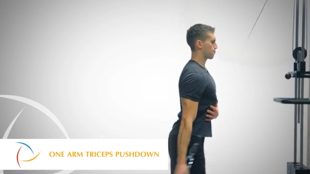 One Arm Triceps Pushdown