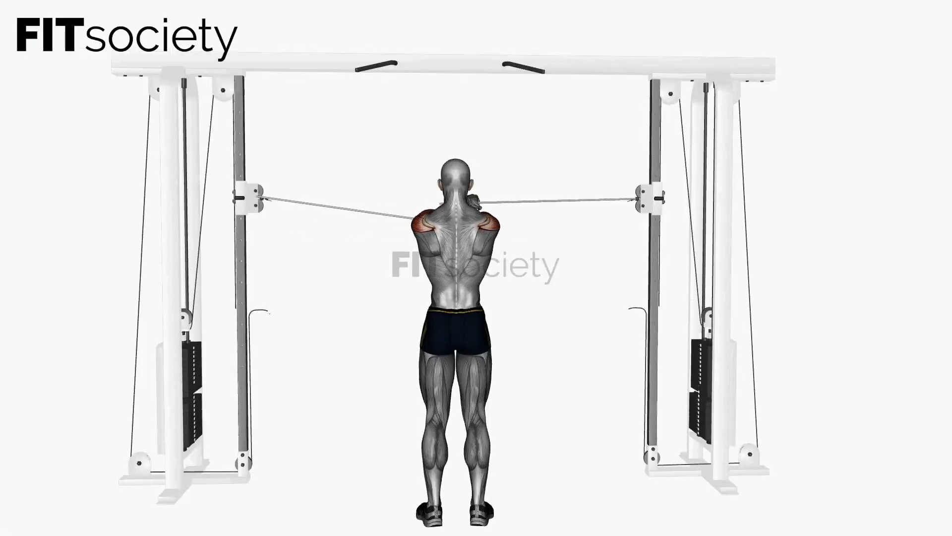 Cable Rear Delt Fly