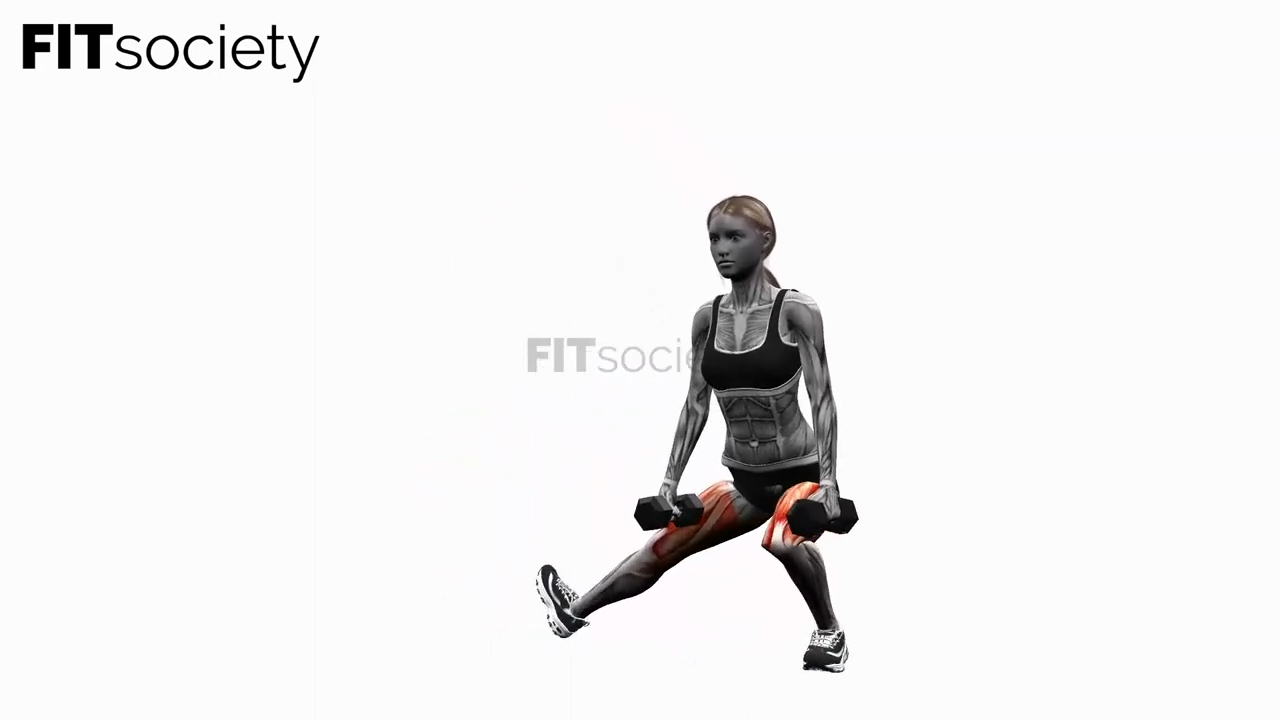 Dumbbell Side Lunge Alternating