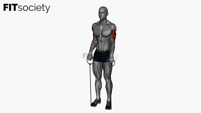 Reverse Grip Resistance Band Simultaneous
