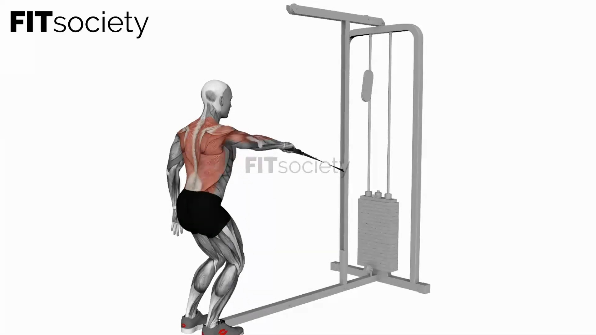 Cable Palm Rotational Row