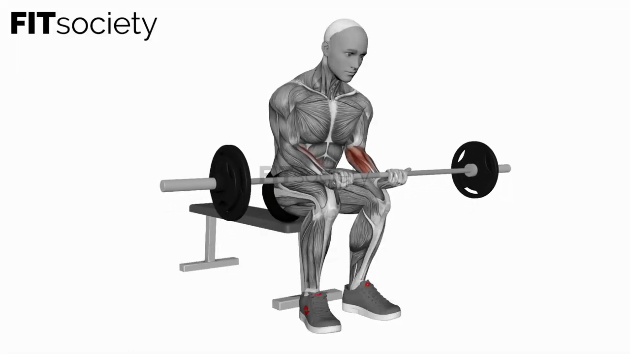 Barbell Wrist Curl On Knees