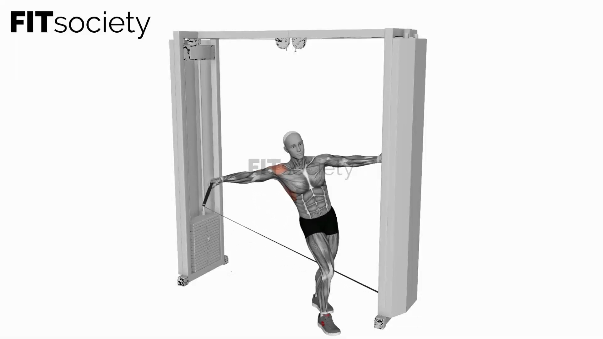 Cable Leaning Lateral Raise