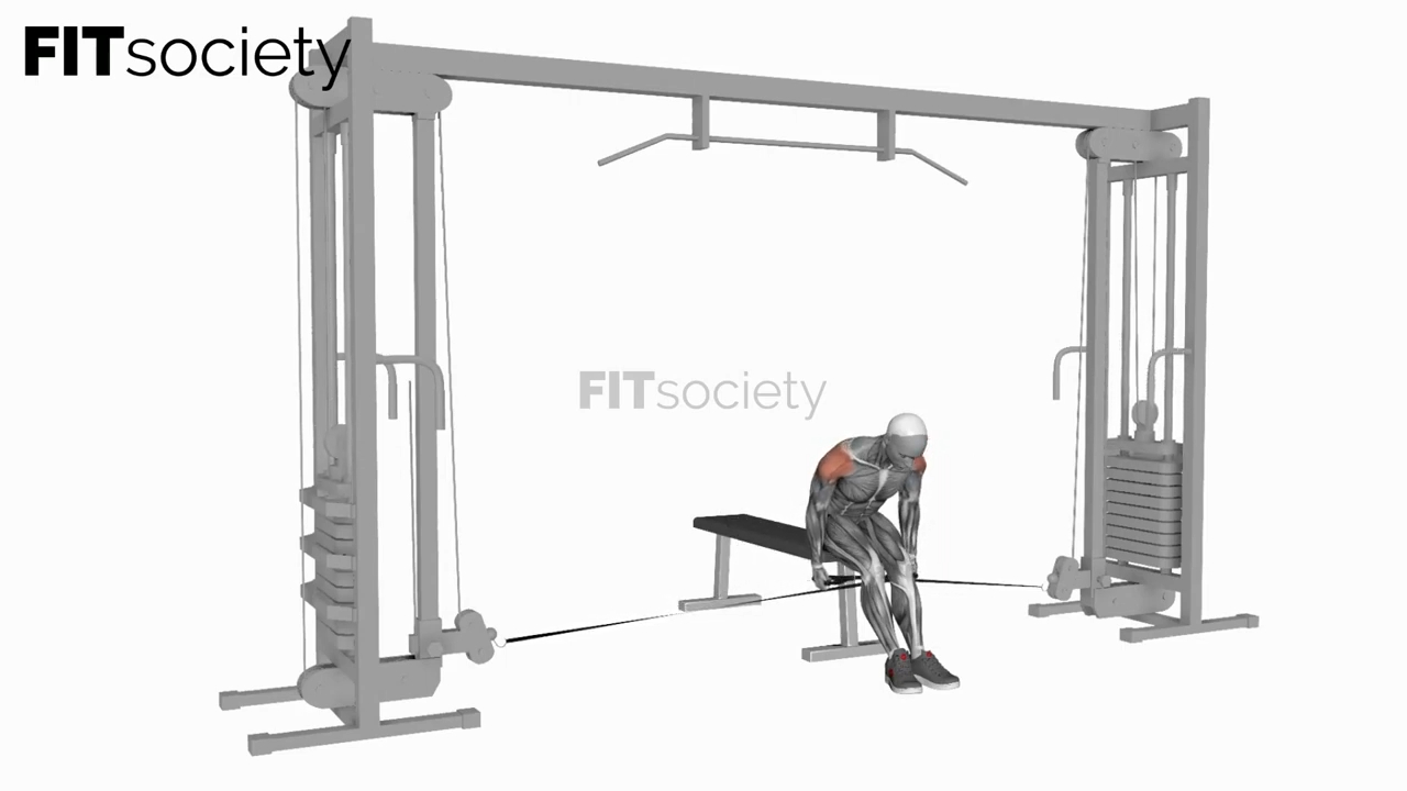 Cable Seated Rear Lateral Raise
