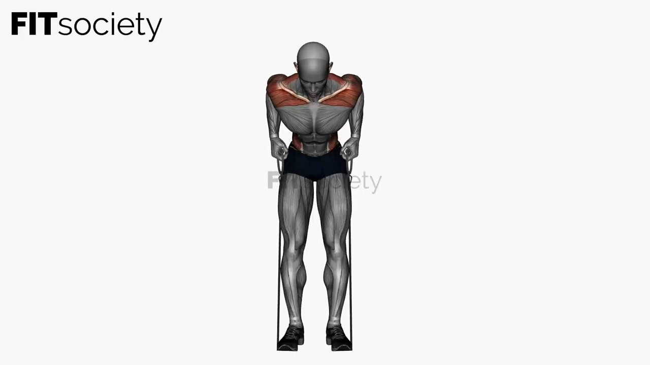 Bent-Over Resistance Band Row