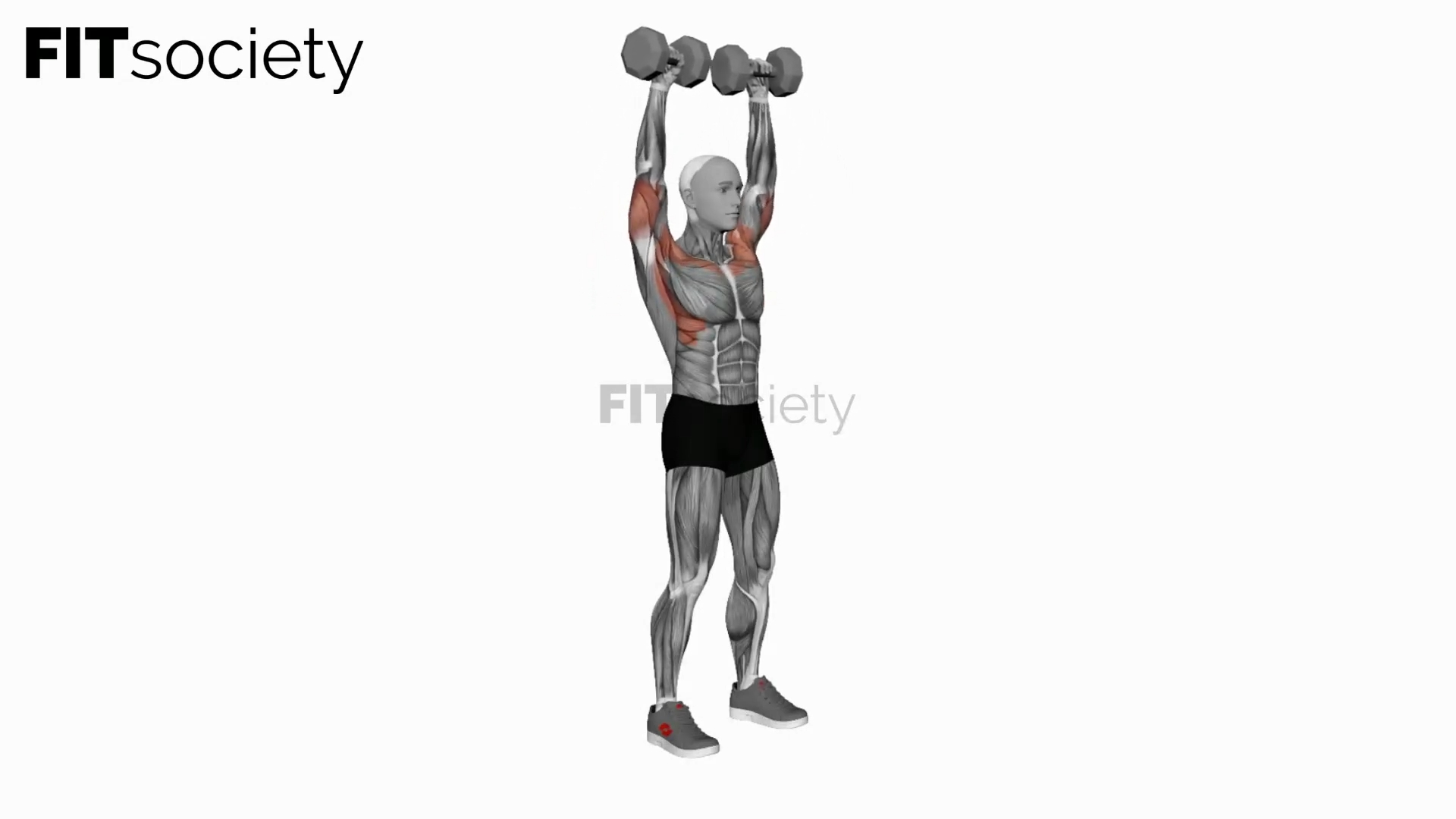 Dumbbell Standing Overhead Press